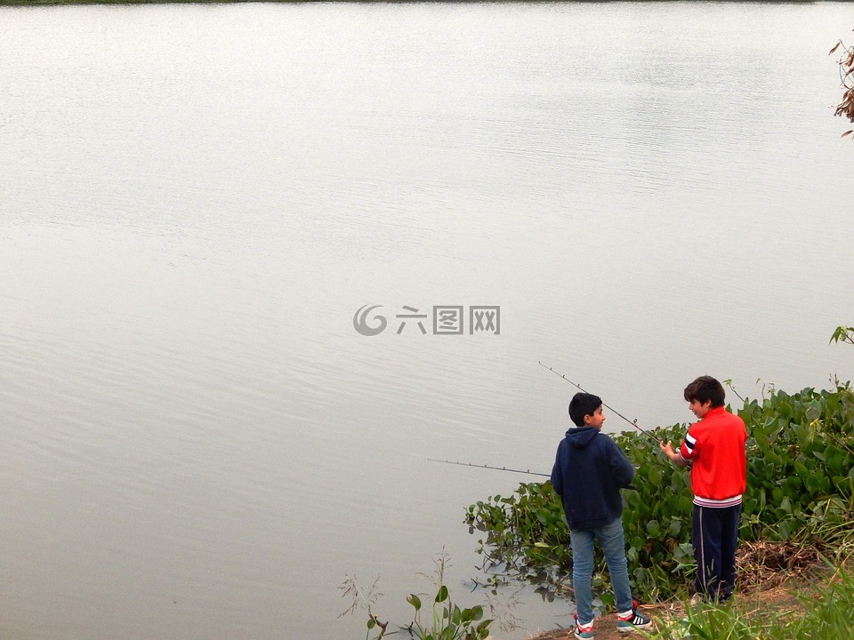 男孩,捕魚(yú),兒童