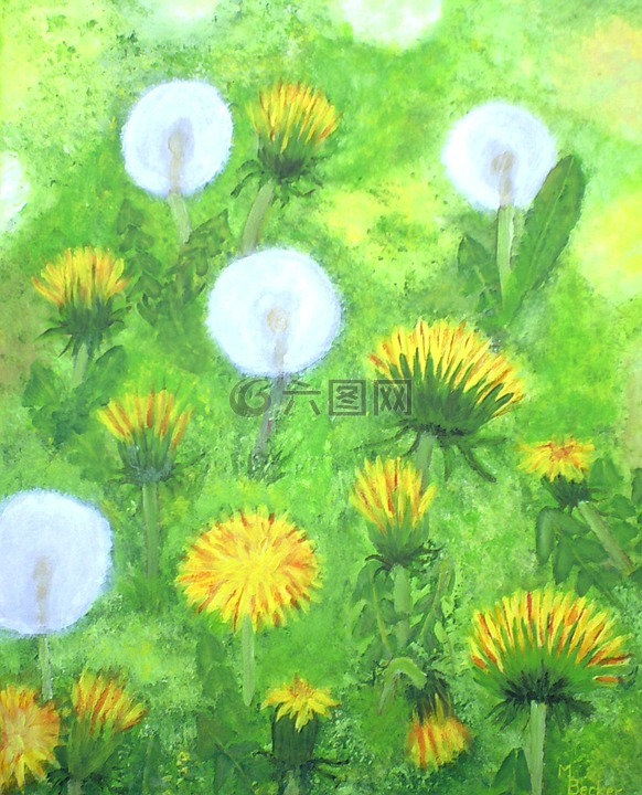 蒲公英,草地,鮮花