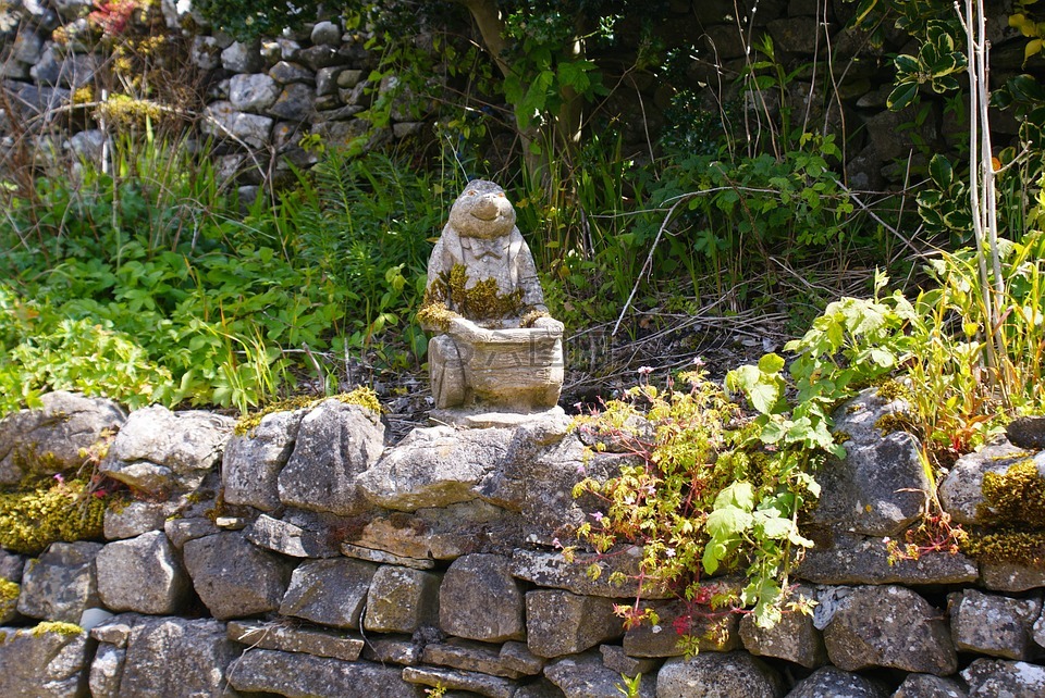石頭鼴鼠,鼴鼠,林地
