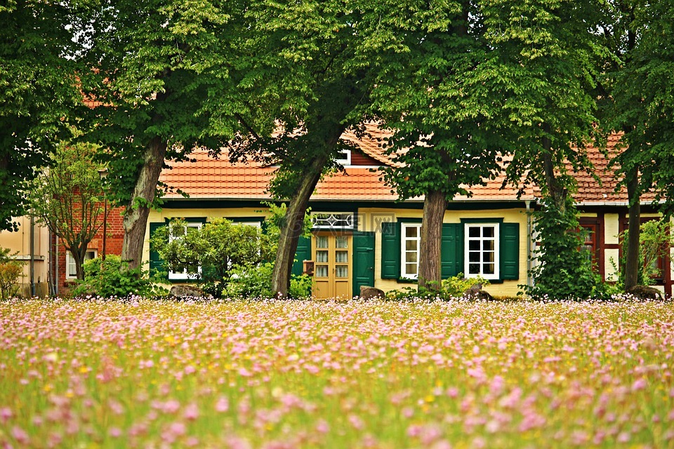 布施帕希姆,fachwerkhaus,鮮花