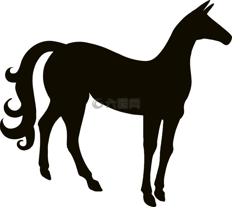 動物,馬,各種hsm