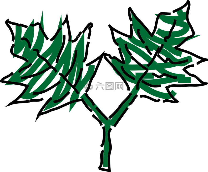葉子,綠色,兩