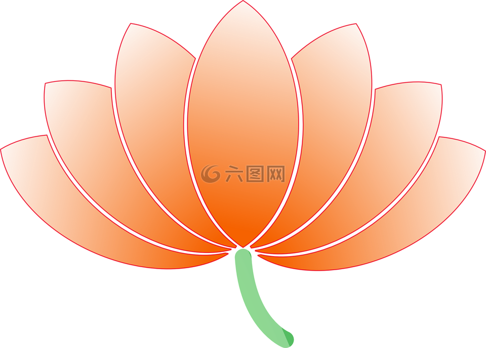 花,蓮花,自然