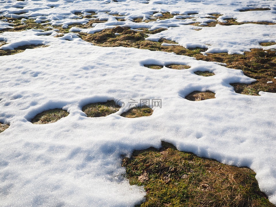 草地,雪,积雪融化