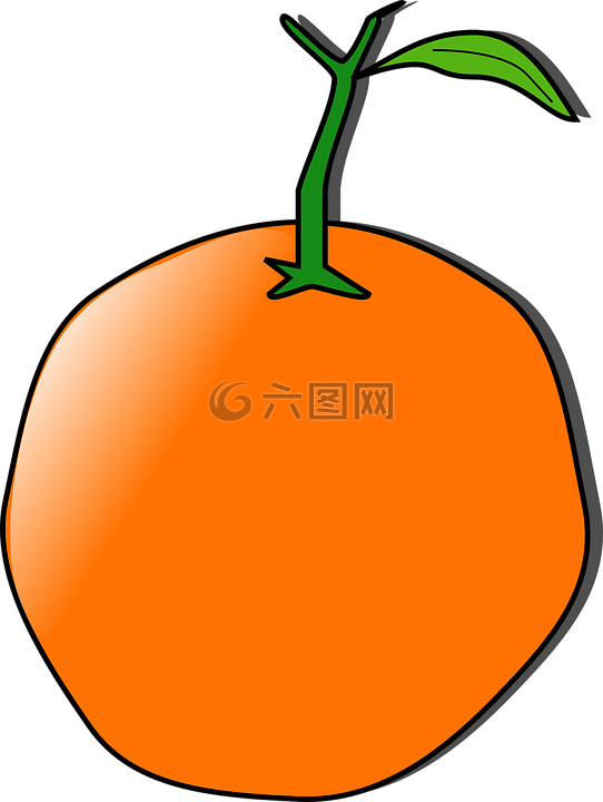 橙色,水果,橘紅色