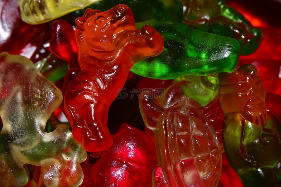 gummib?rchen,酪,果凍組合