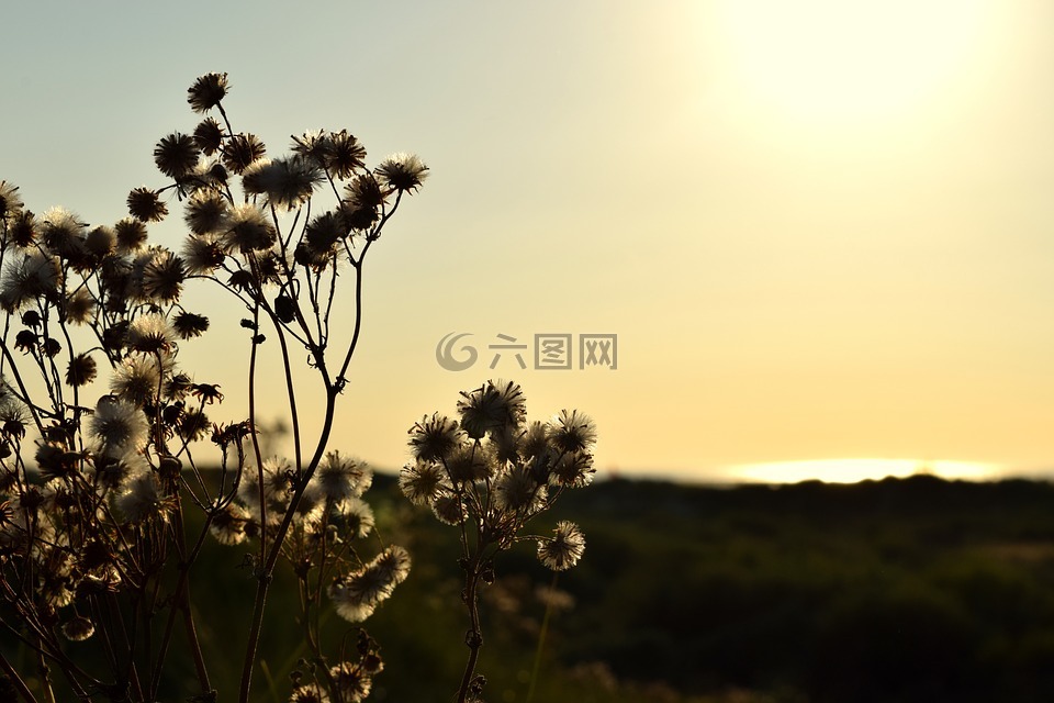 borkum,晚上,沙丘