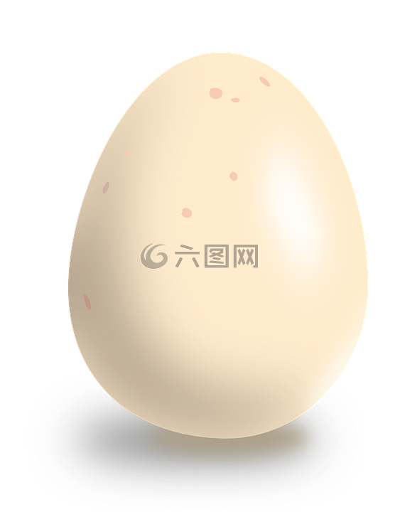 雞蛋,食品,白
