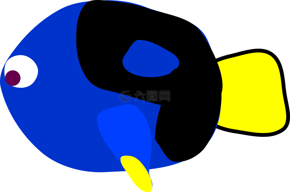 藍(lán)堂,查找,魚