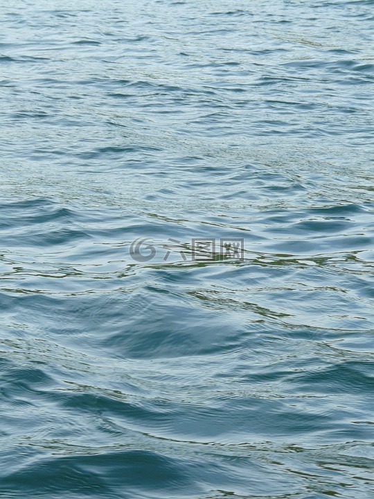 水,湖,藍色