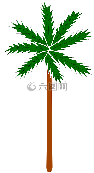 棕櫚,植物,stylised
