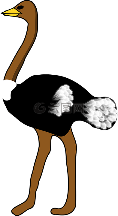 鴕鳥(niǎo),大鳥(niǎo),種不會(huì)飛的鳥(niǎo)
