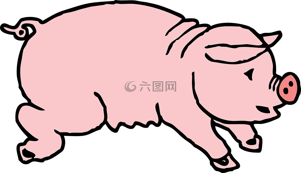 豬,動物,哺乳動物