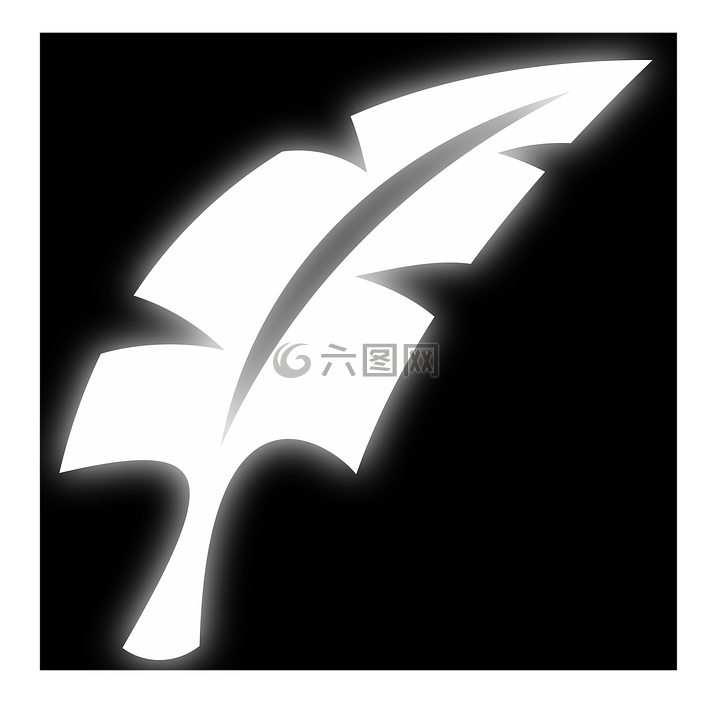 藝術(shù),b w,羽毛