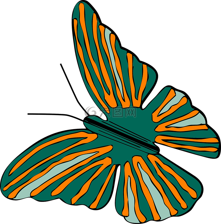 蝴蝶,甲蟲，昆蟲,bug
