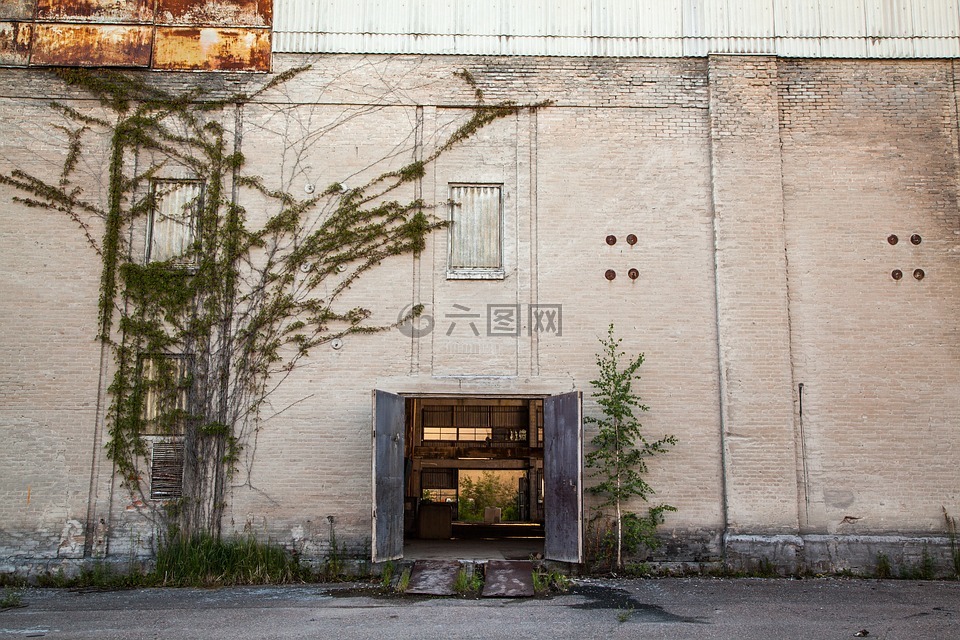 開門,藤,履帶板