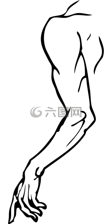 手臂,左,手
