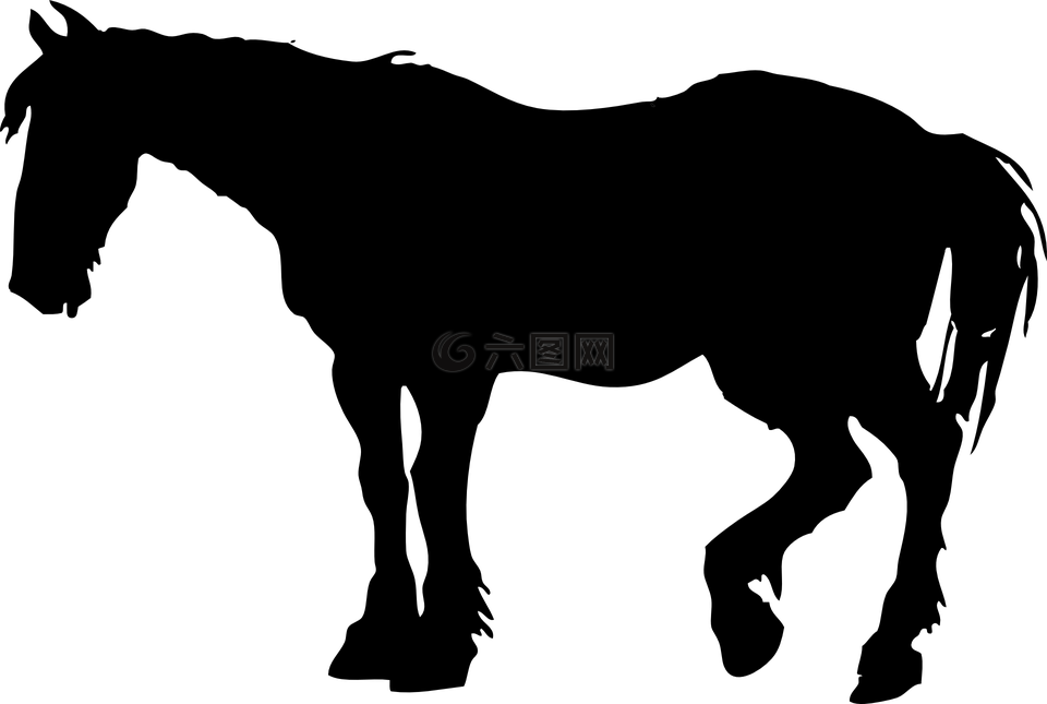 馬,側(cè)影,動物