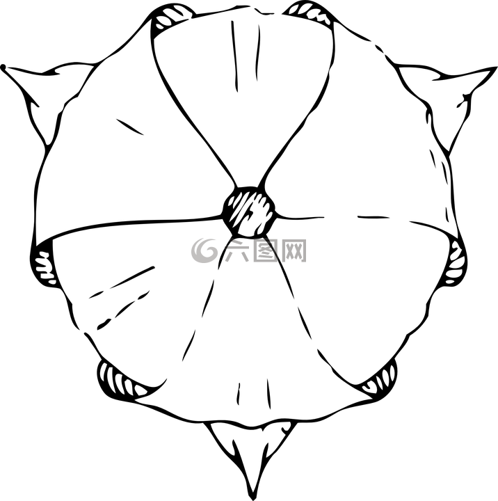 郁金香,返回頁首,查看