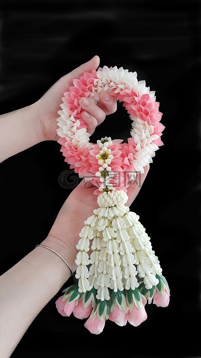 花,泰国花环,粉红色