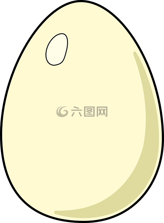 雞蛋,家禽,原