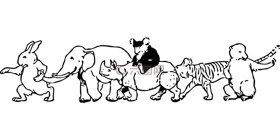 動(dòng)物,兔,象