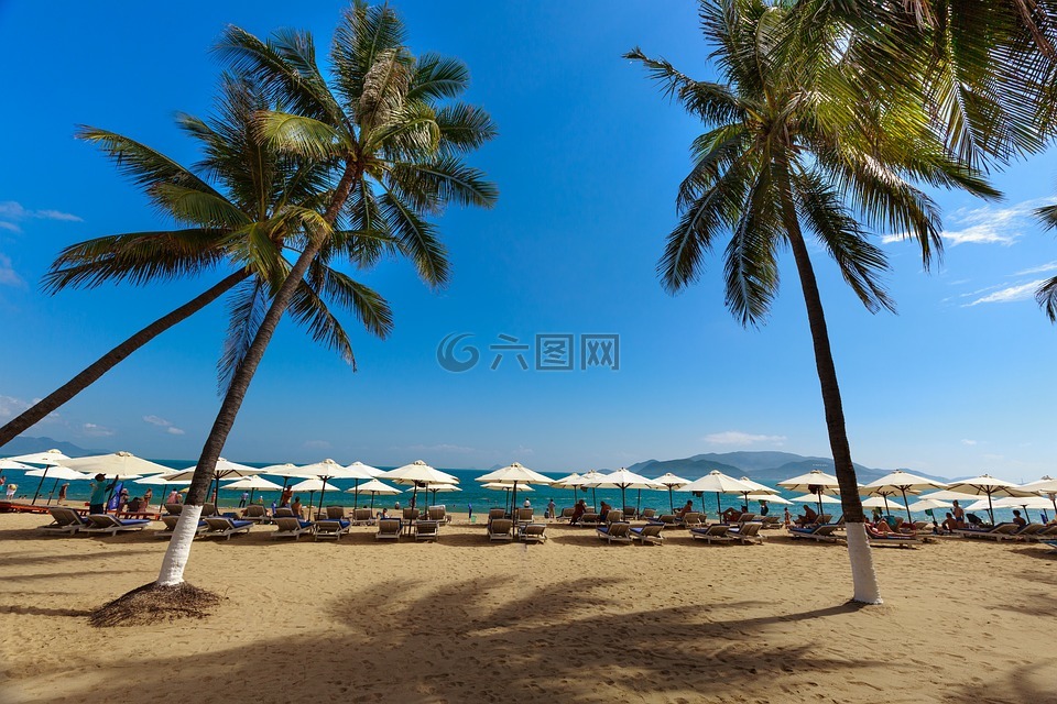芽庄,越南,海滩
