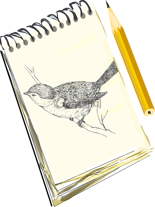 鉛筆,素描,鳥
