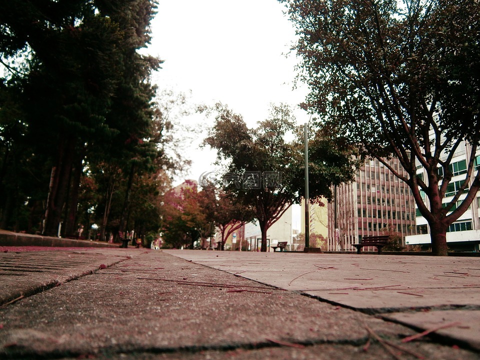 街,公園,城市