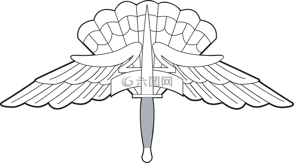 美國空軍,空軍,徽章