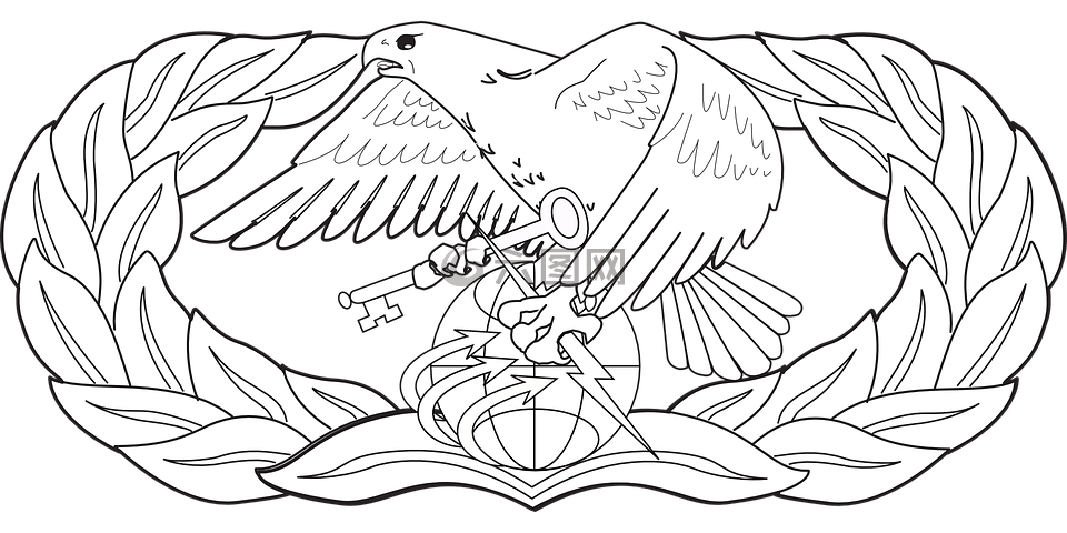 美國空軍,空軍,徽章