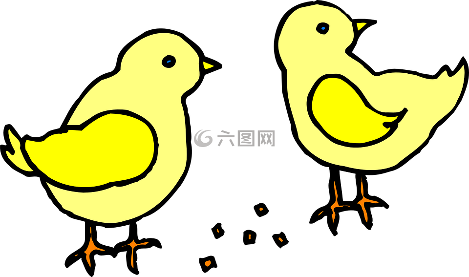 小雞,嬰兒,黃色