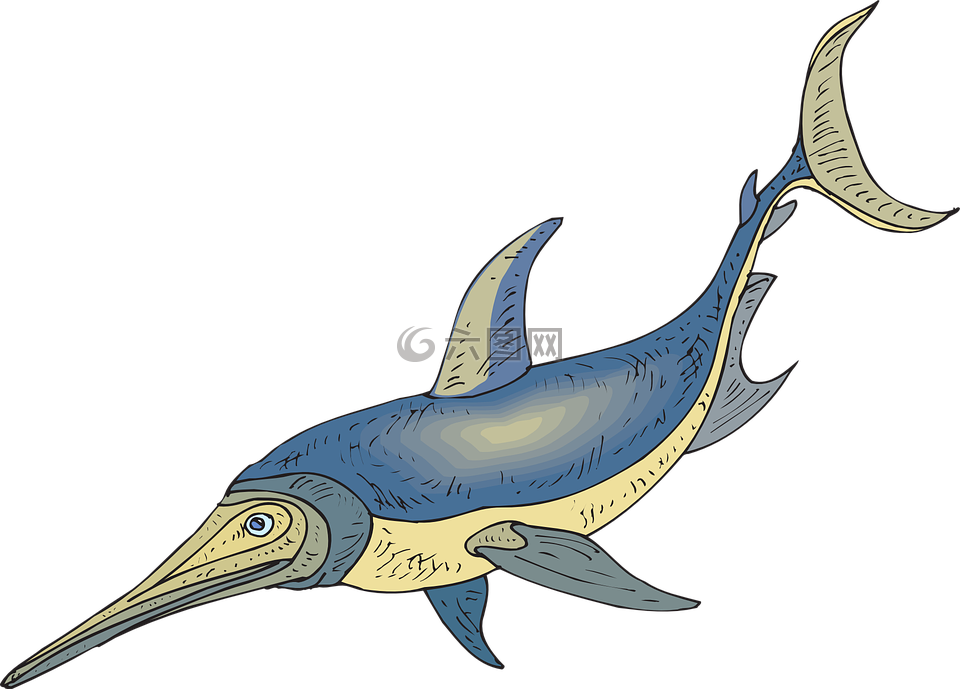 藍色,黃色,魚