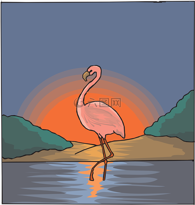 火烈鳥,水,粉紅色