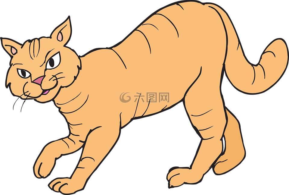 猫,走,动物