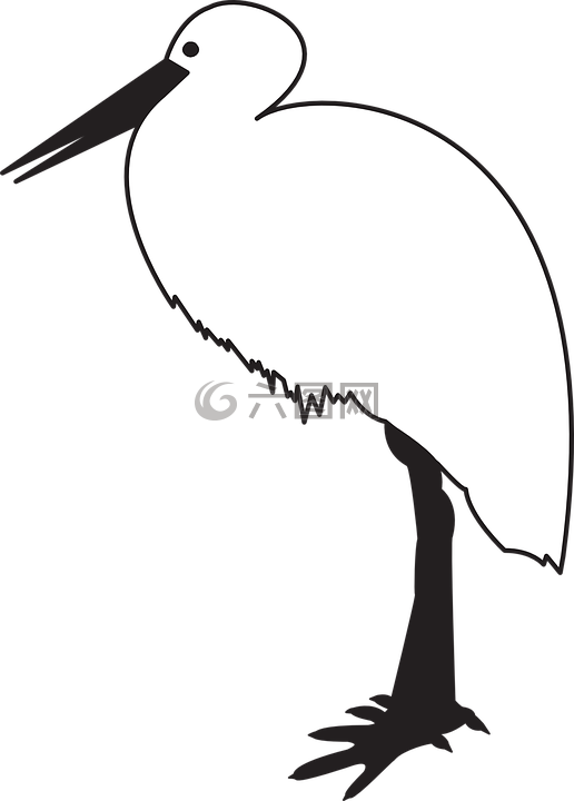 鳥,動(dòng)物,鸛