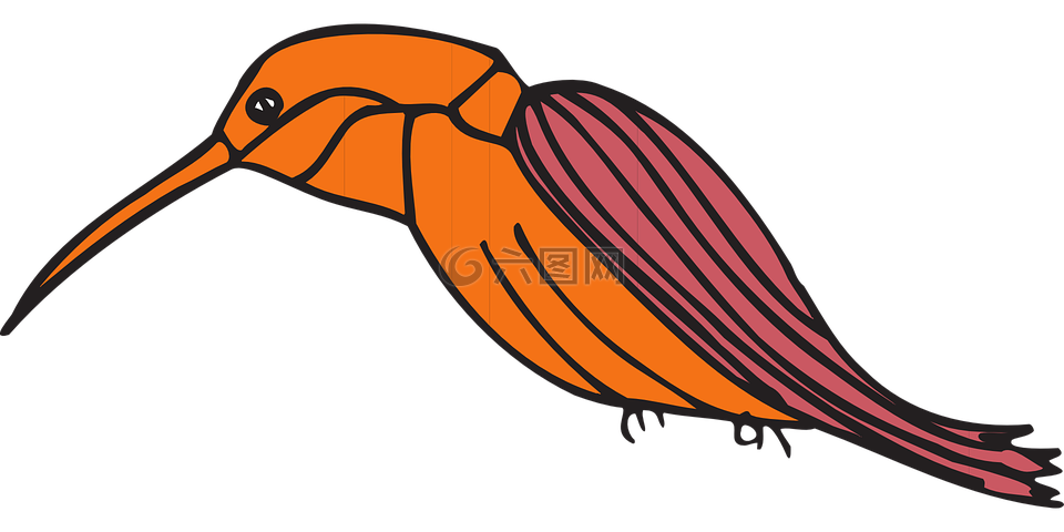 sapsucker,鳥(niǎo),風(fēng)格