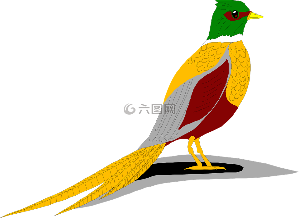 陰影,鳥,環(huán)