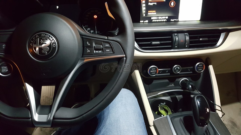 汽車,儀表板,車輛