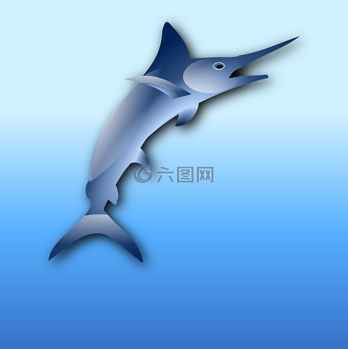 馬林,箭魚,魚