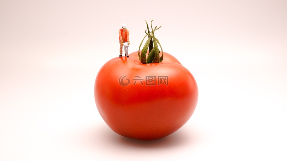 番茄,食品,廚房