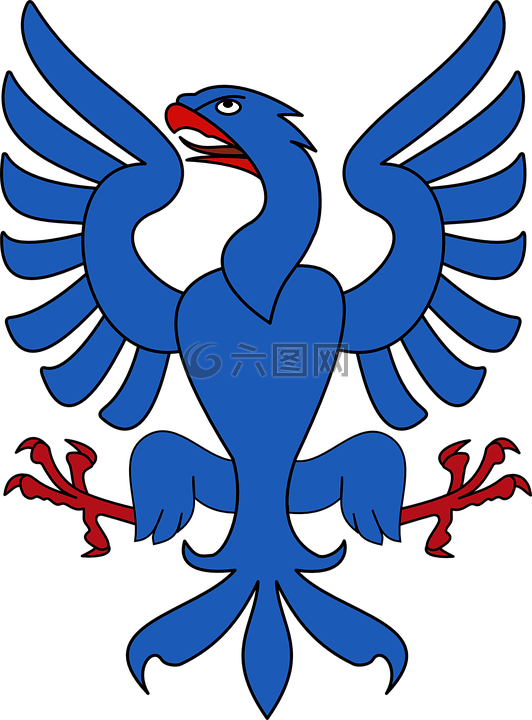 鷹,鳥,翅膀