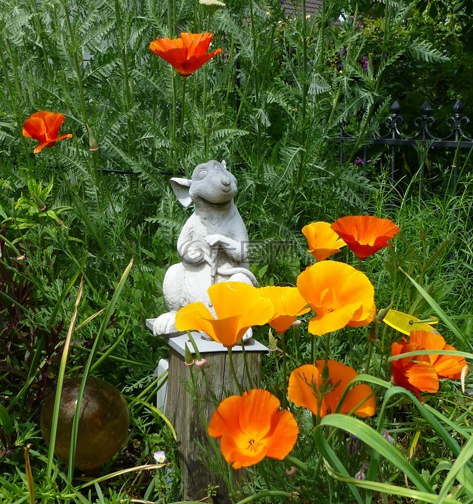 gartendeko,園丁,黃金罌粟