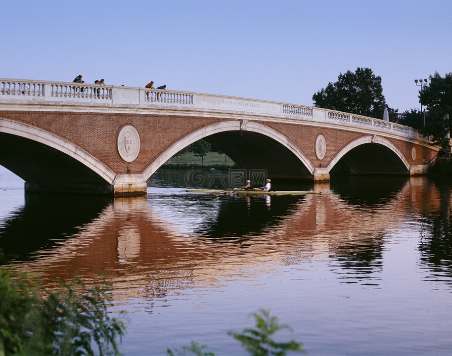 橋,河,skulling