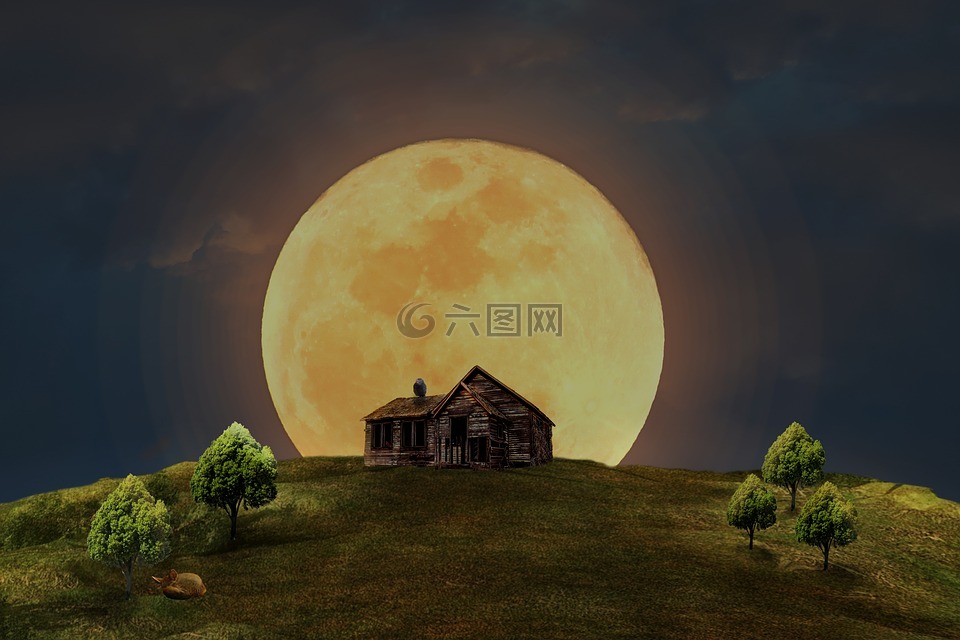 滿(mǎn)月,首頁(yè),草地