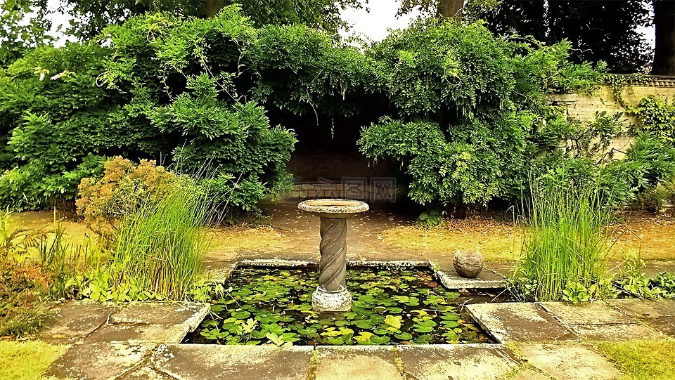假日花園,水缽,池