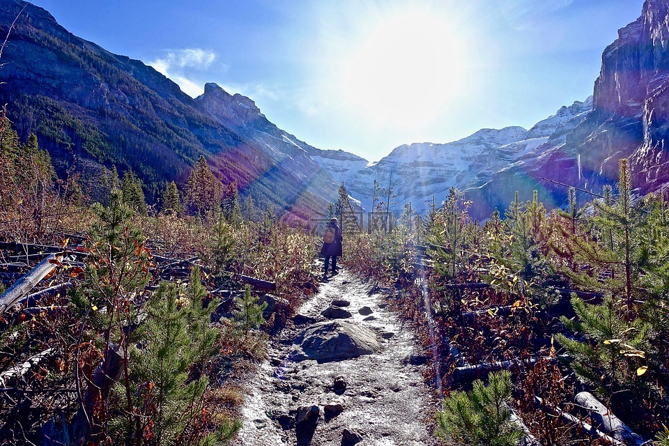 路径,阳光,徒步旅行