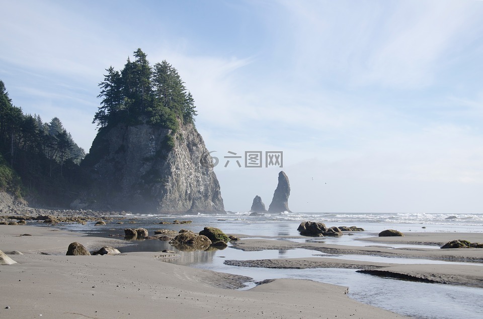 海,海洋,水