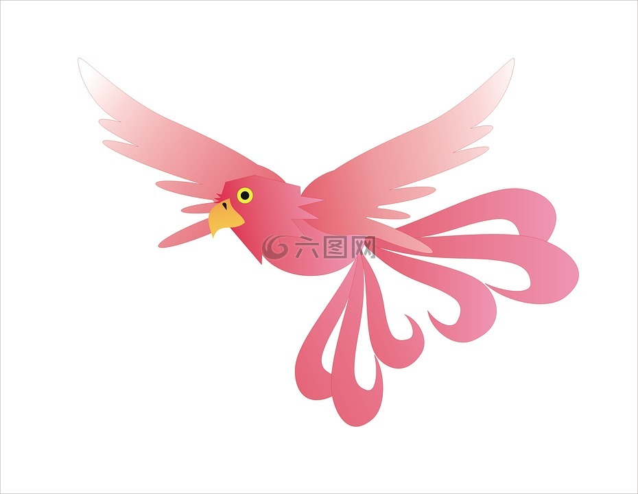 鳳凰,鳥,神秘