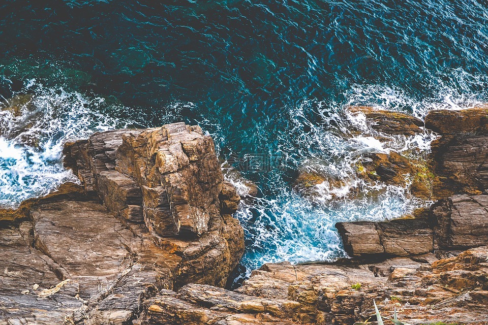 海,海洋,水